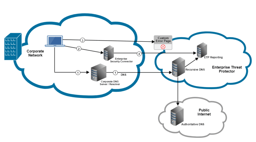 DNS