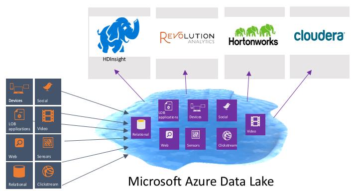 microsoft azure data lake