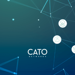 cato-banner