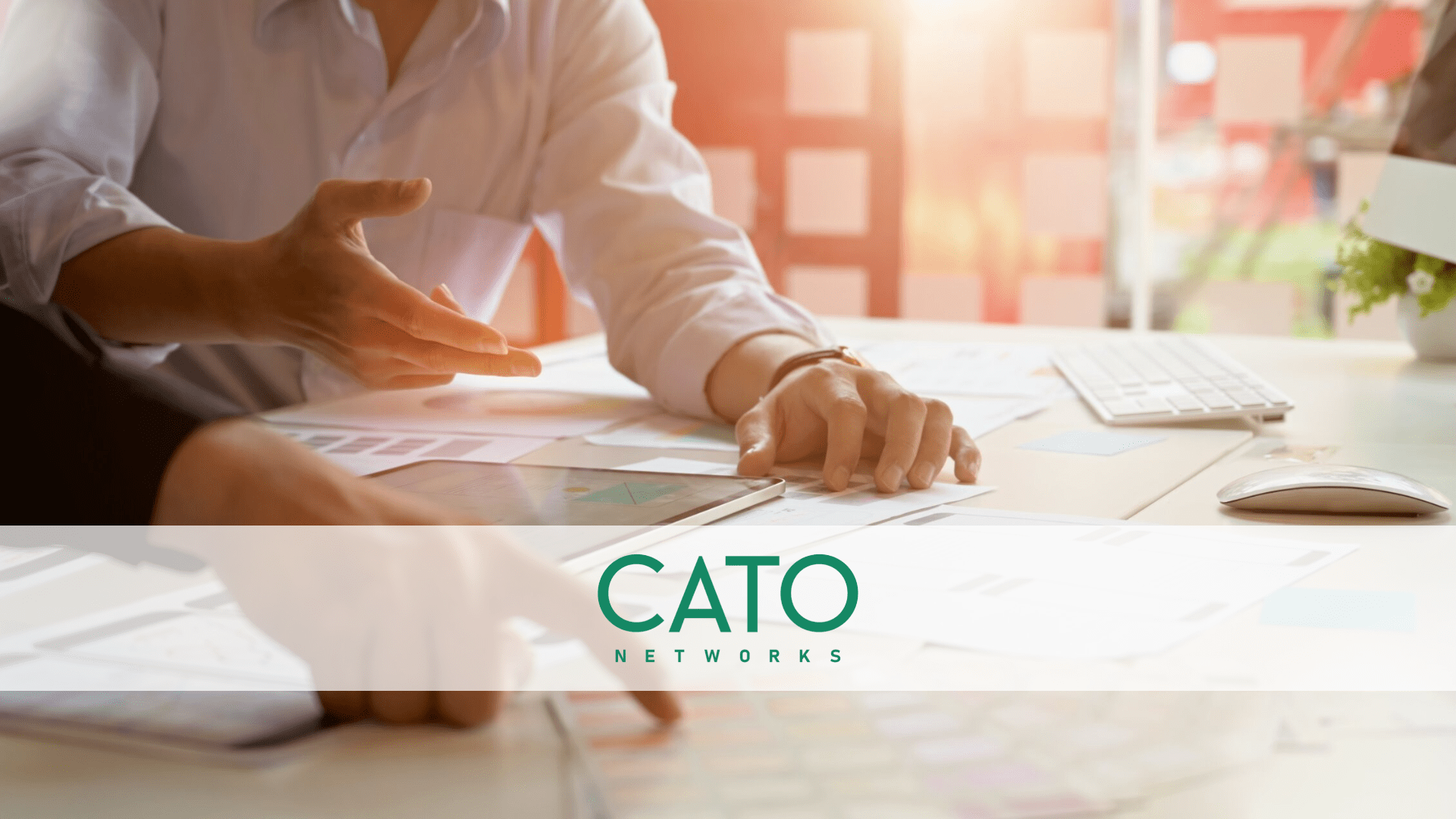 成功案例 | Cato NetWorks | 羽昇國際 WingWill