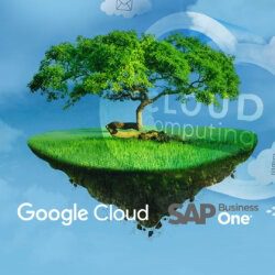 打破系統孤島 SAP Business One on the Google Cloud 企業ERP轉型上雲解決方案 | 立即諮詢