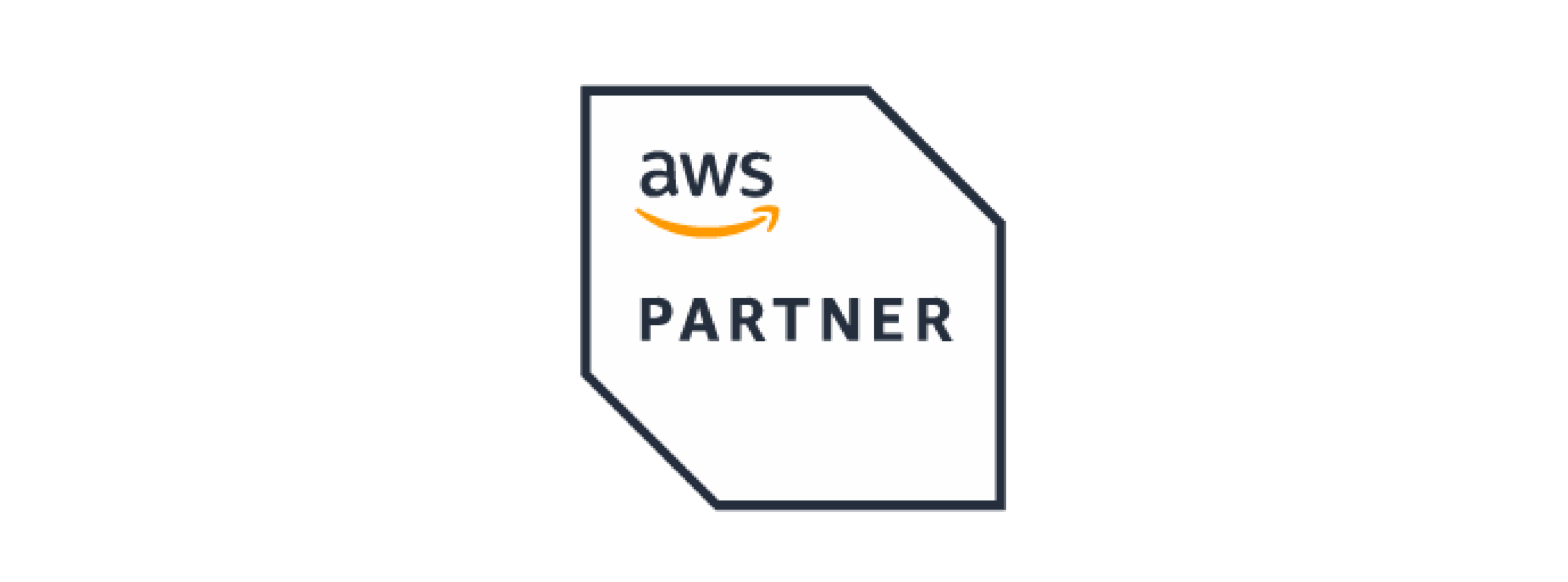 羽昇合作夥伴 LOGO_AWS
